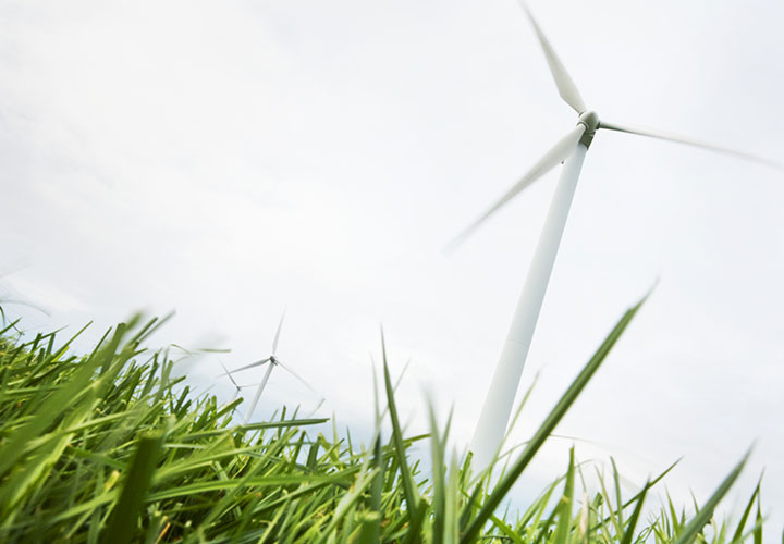 Wind turbines in grass
