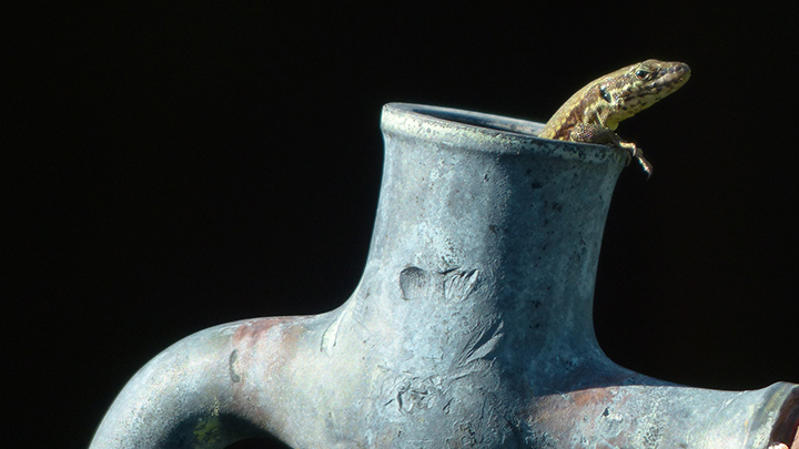 3-Manuel-Switzerland