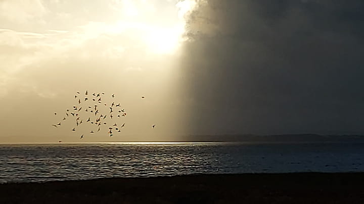 Dec19-Dave_Liverpool_UK