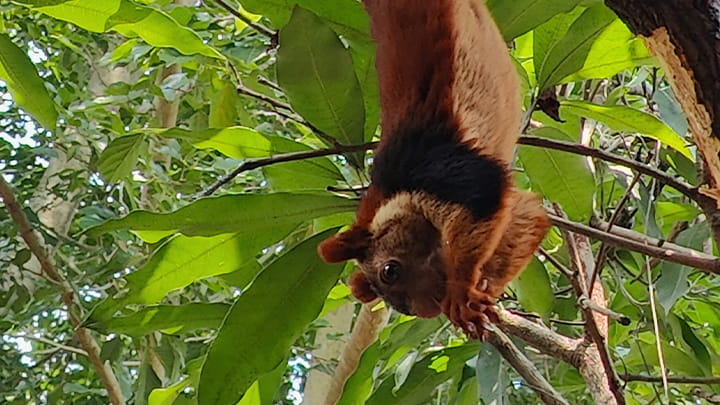 Dec20-SACHIN_BANGALORE_INDIA_2