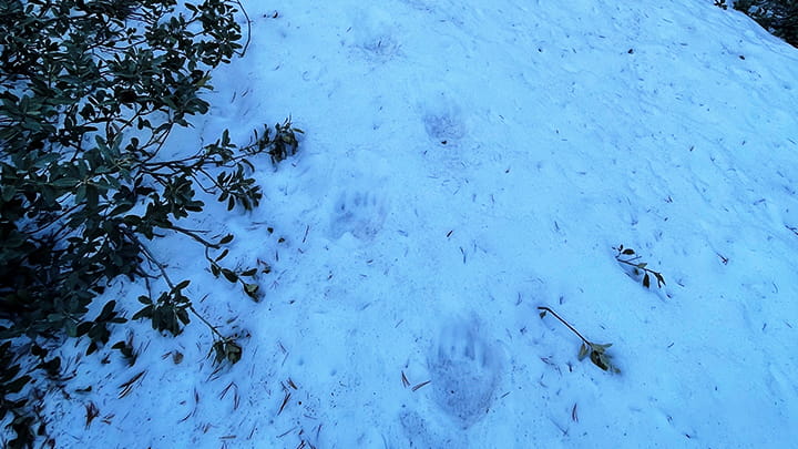 Dec23-Alex_Los-Angeles-Mountains_US