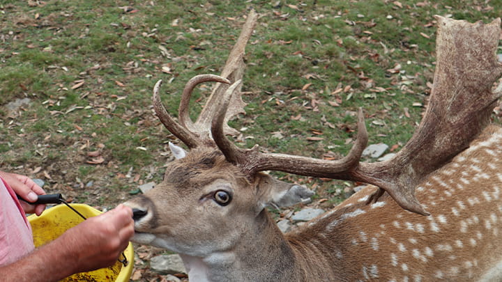 Dec24-Donna_Guinivan_Cornwall_UK_2