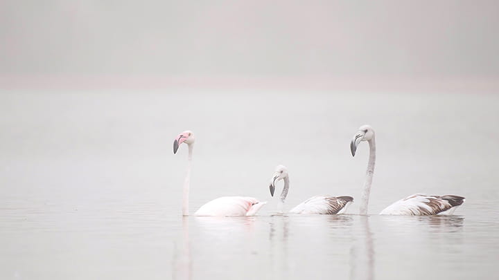 Dec27-Christine_Dubai_2