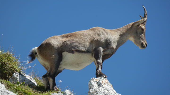 Dec29-Tanja_Kranj_Slovenia