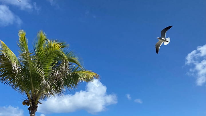 Dec30-ANNA_TSS-BRAZIL