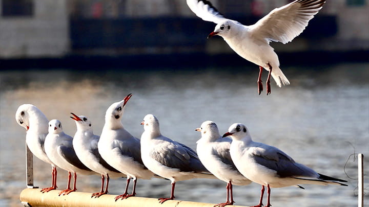 Dec31-Jeff_Dubai_UAE