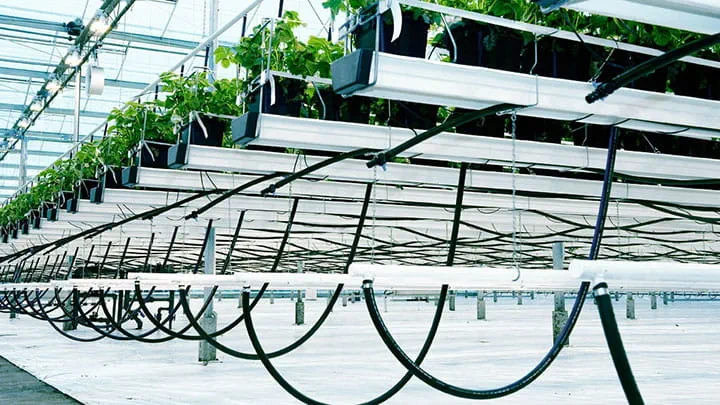 Spraying-and-green-house-hoses