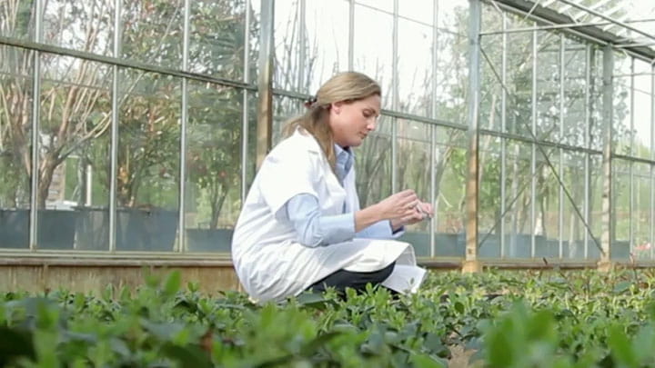 Agriculture image 2
