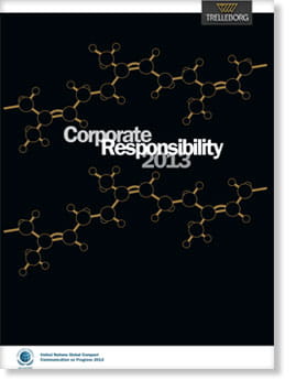 CR_Report-Trelleborg-2013