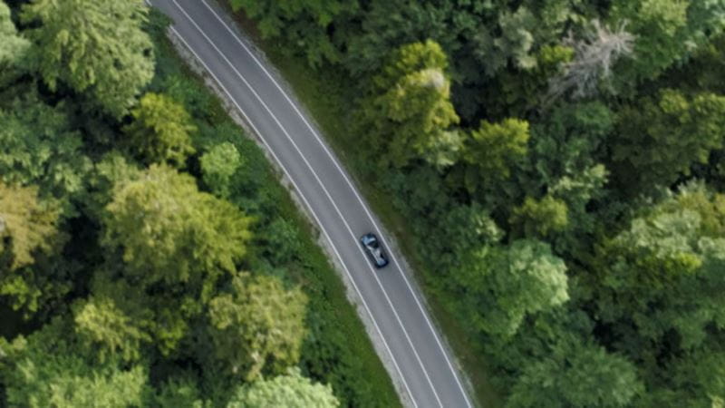 Aerial-view-of-car-in-woods