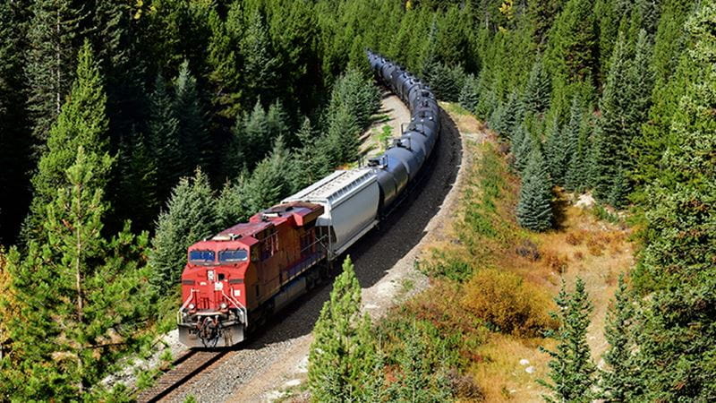 Train transporting chemicals through forest