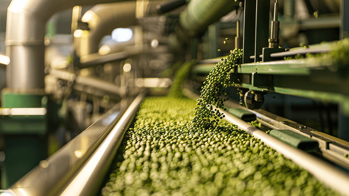 Conveyor belt with peas