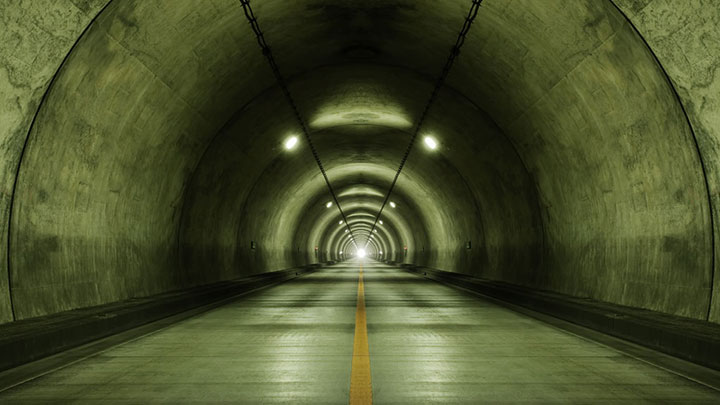 tunnel_seals