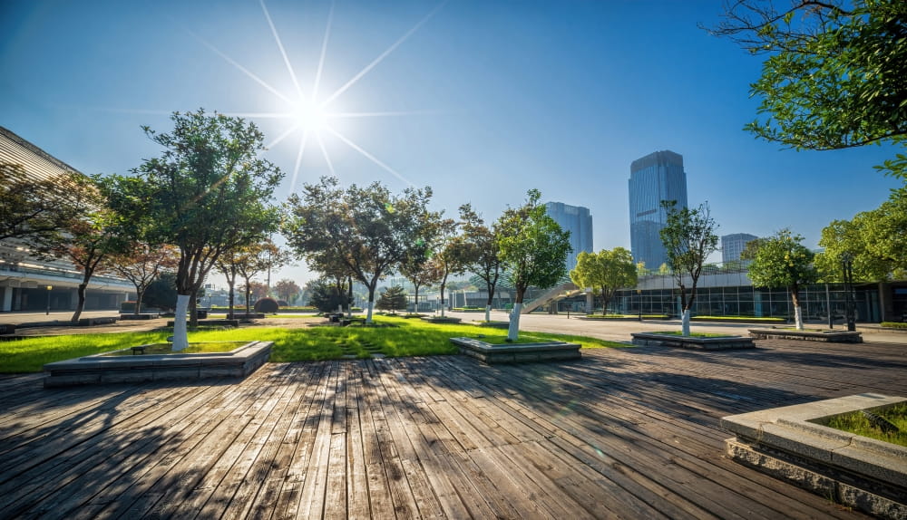 AdobeStock_904656599 low