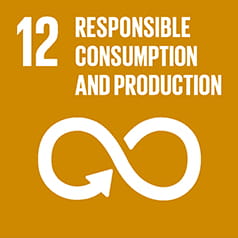 SDG12 icon