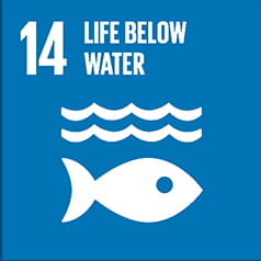 SDG14 icon