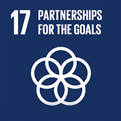 SDG17 icon