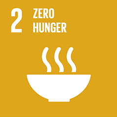 SDG2 icon