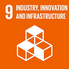 SDG9 icon
