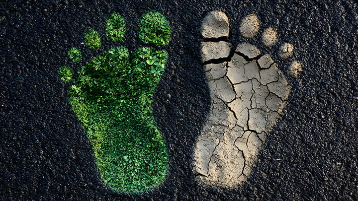 Image of two feet, one standing on vibrant green grass and the other on cracked, dry earth.