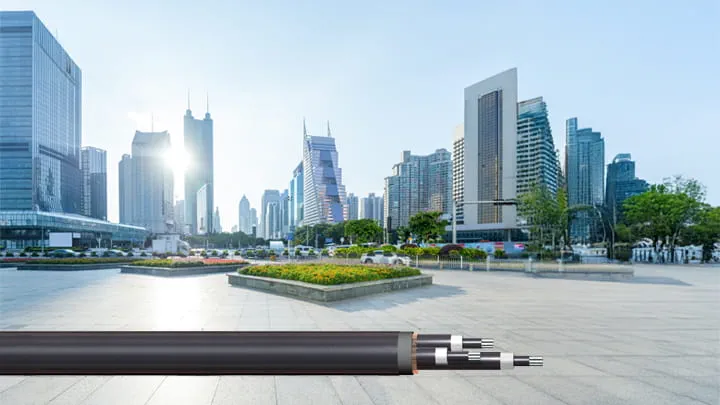 Foreground view of three distinct types of cables, with a large city visible in the background