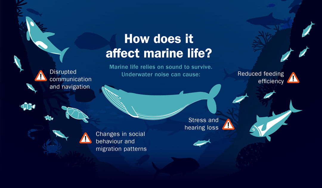 Reducing-noise-pollution-from-ships-2