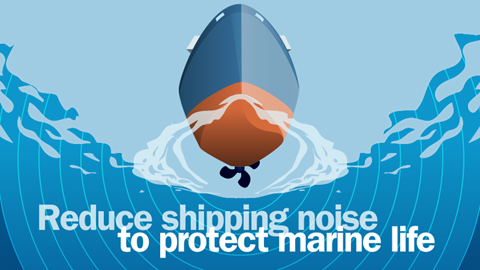 Reducing noise pollution from ships – from effects on marine life to ...