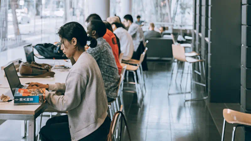 Antivibration Solutions - Media