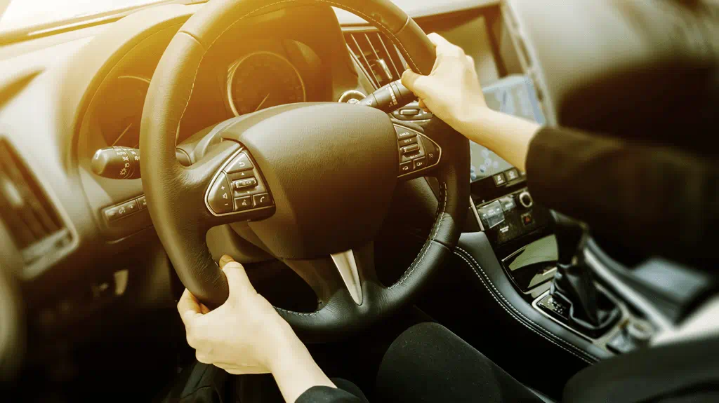 Trelleborg steering gear