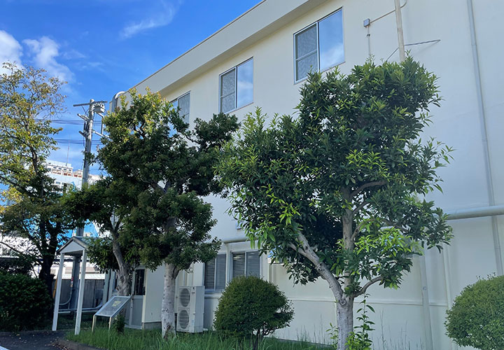 Building-Trelleborg-Odawara-720x500