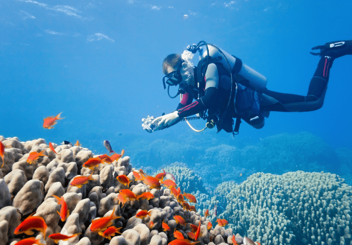 Trelleborg ECF CR 720x500