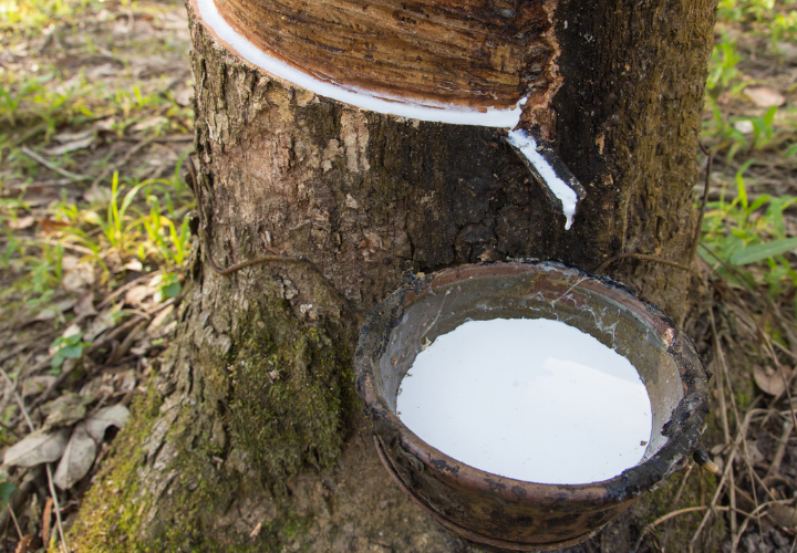 Trelleborg ECFIR_NR 720x500