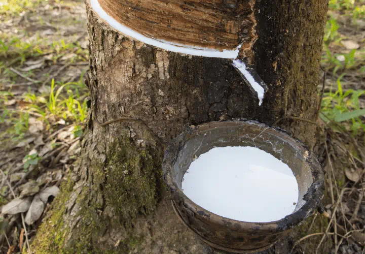 Trelleborg ECFIR_NR 720x500