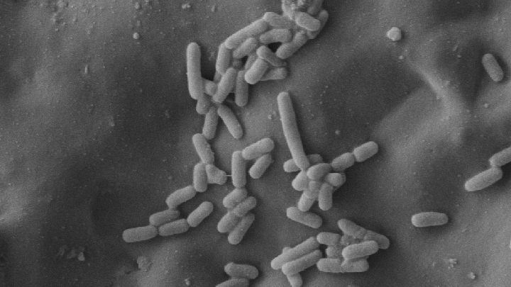 Bacteria-Repellant textiles-720