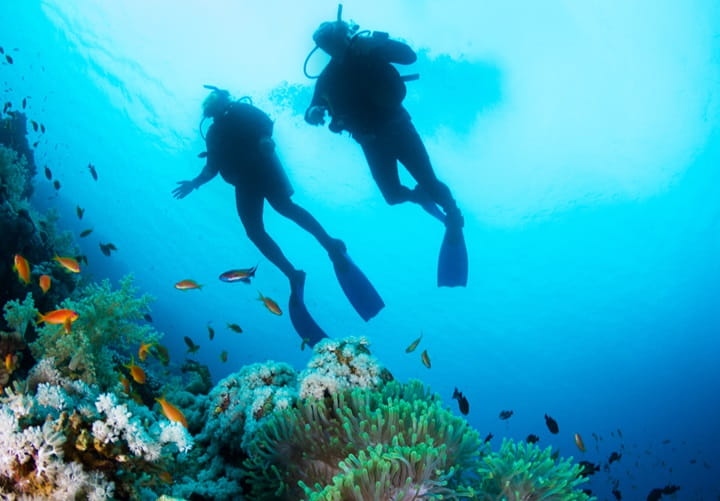 Scuba-Divers-720x500