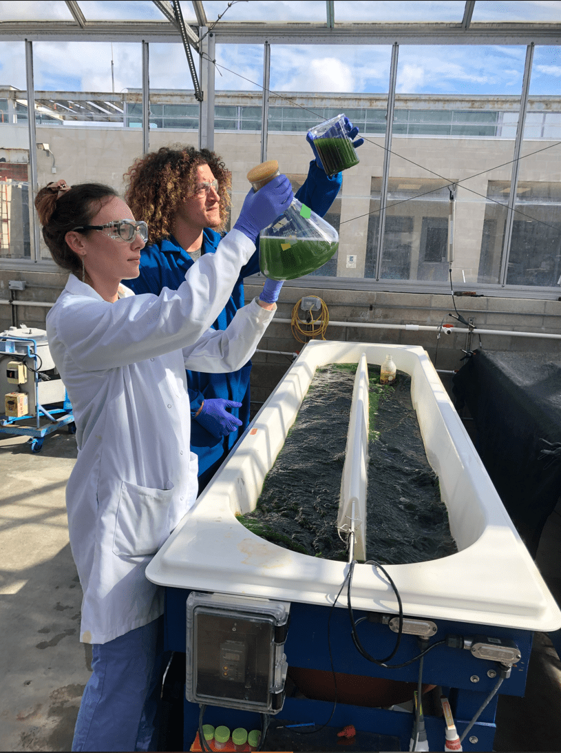 ECF-algenesis-algae-cultures-inspection