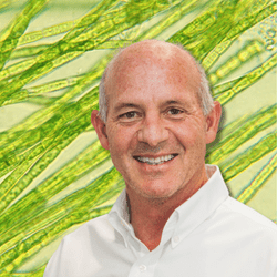 ECF-algenesis-Stephen-Mayfield