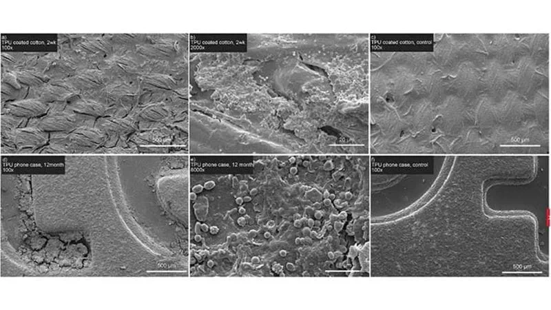 Algenisis-TPU-Image-720-2024