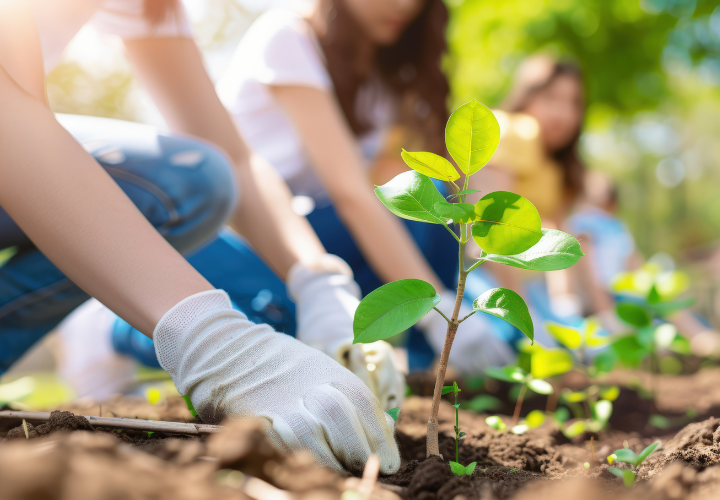 ECF-Social-Responsability