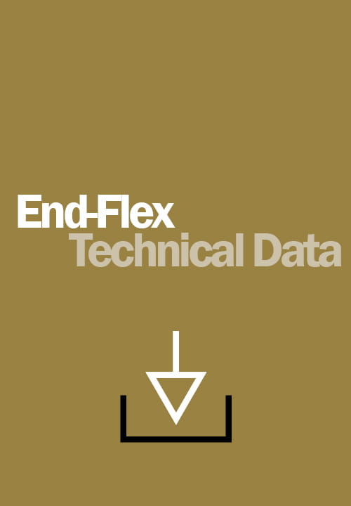 What is ENDFLEX all about