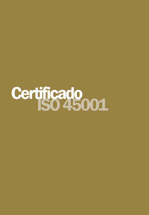 ES_ISO45001