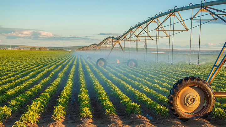 Agriculture-and-Aquaculture-1