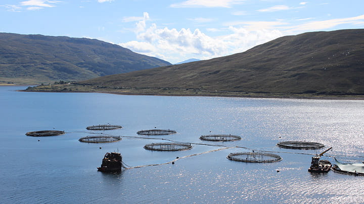 Agriculture-and-Aquaculture-2