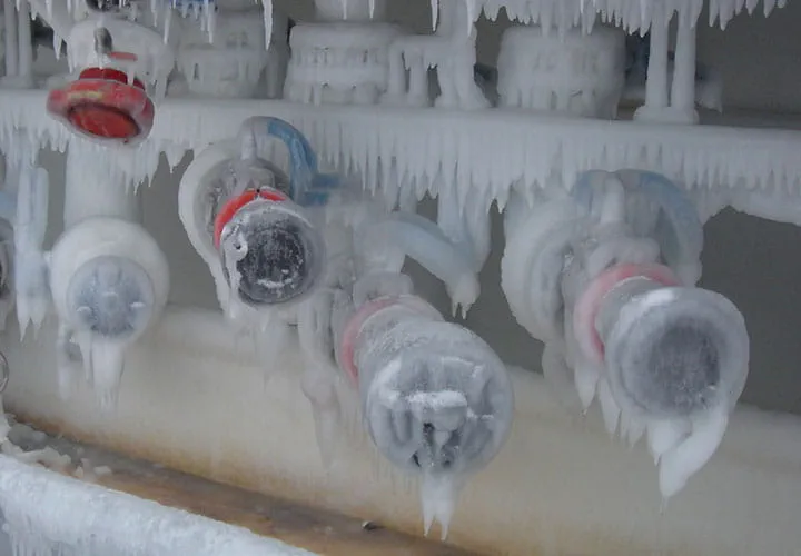 swire pacific frozen loading rack