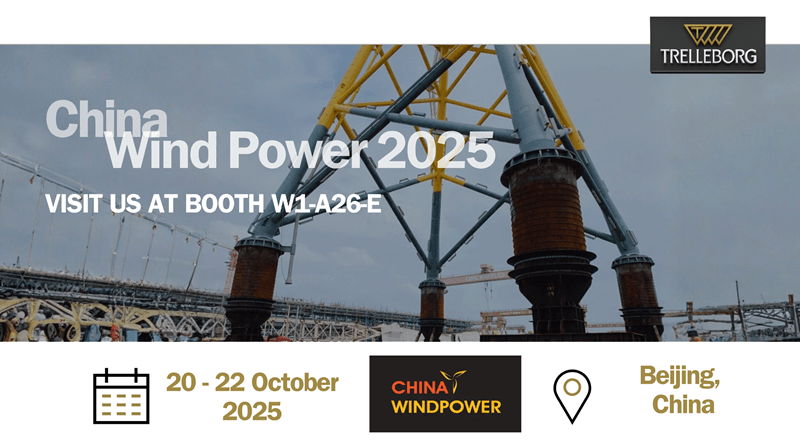 China Wind Power 2025