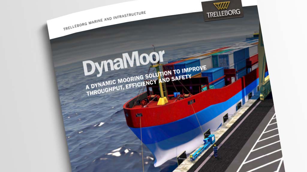 New-DynaMoor-Brochure-thumbnail