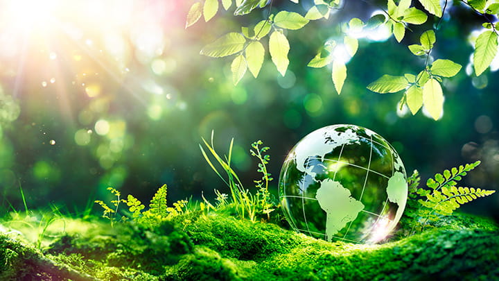 GME-sustainability-protect-the-essential