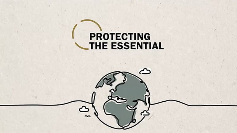Protecting-the-essential-globe