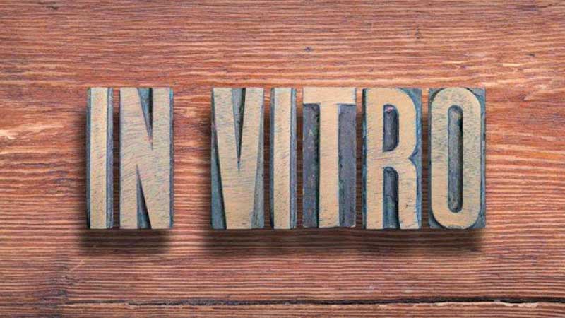 in-vitro-technical-article