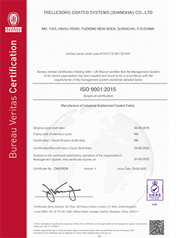 Trelleborg-Coated-Systems-ISO 9001 2015 China